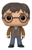 Funko Pop Harry Potter #118 Exclusive Wizarding World