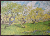 rompecabezas 1000 piezas Van Gogh, Orchard in Blossom